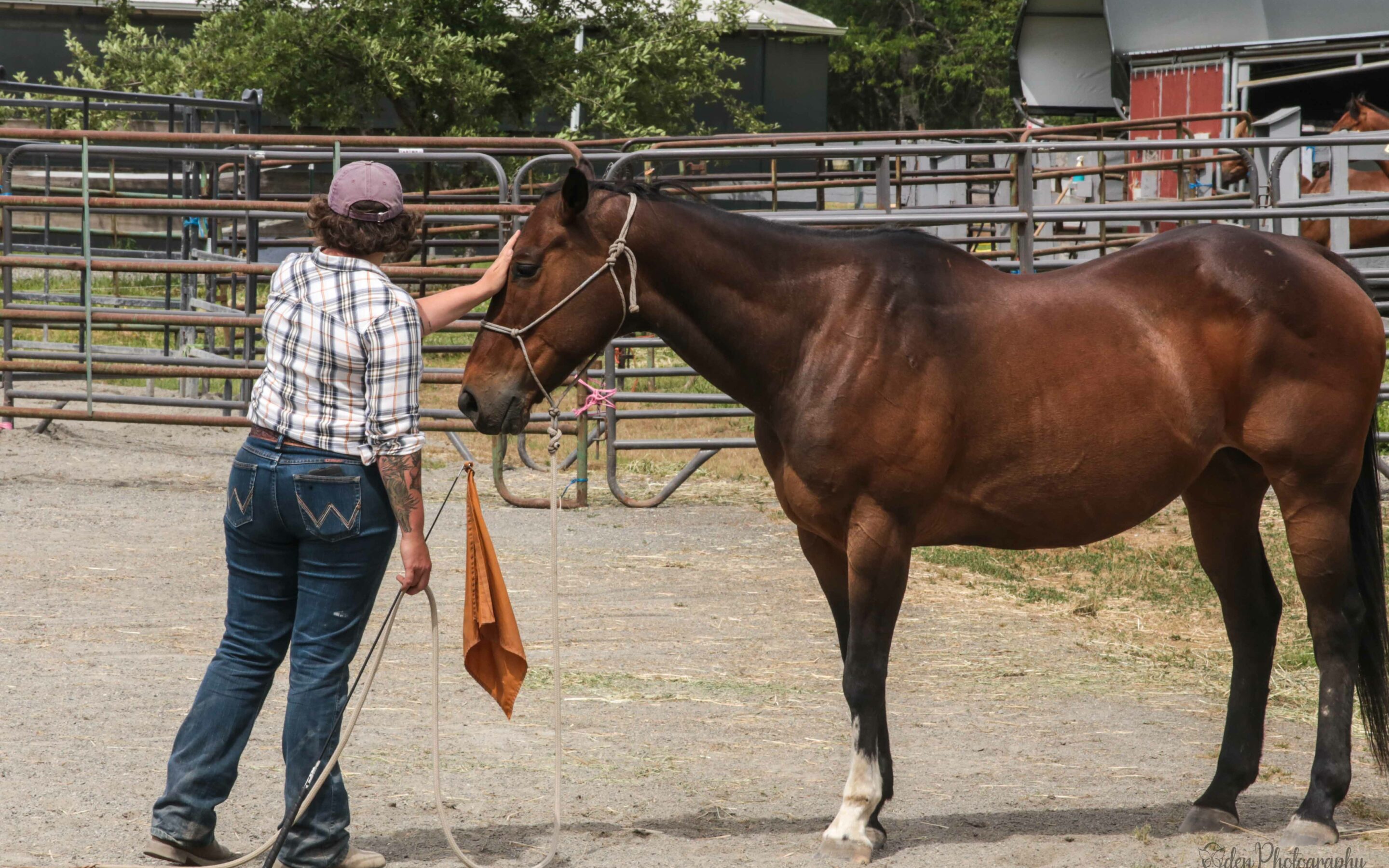 Bijou at the June Joel Conner Clinic