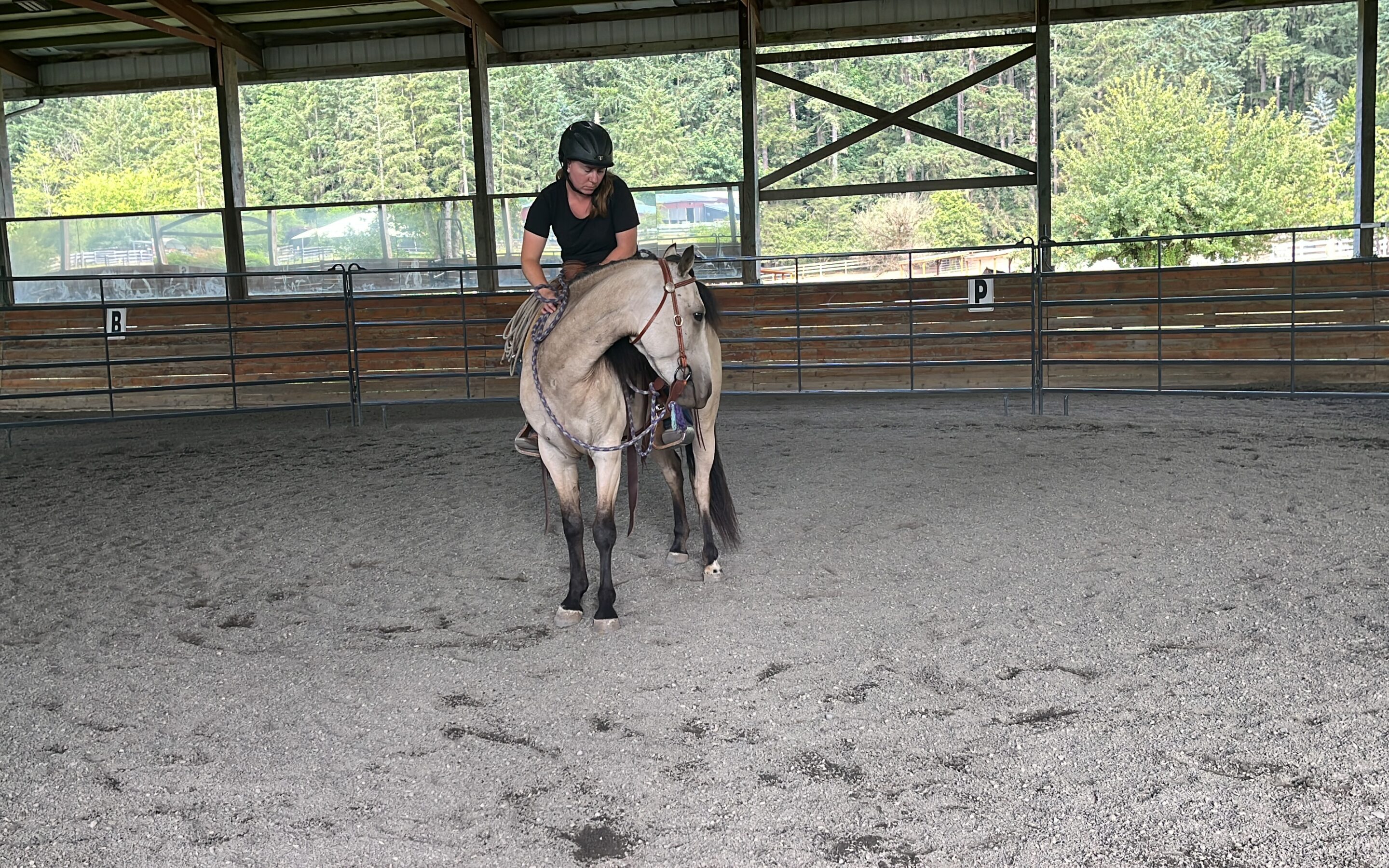 Training Update: Frosting Moving the Hind