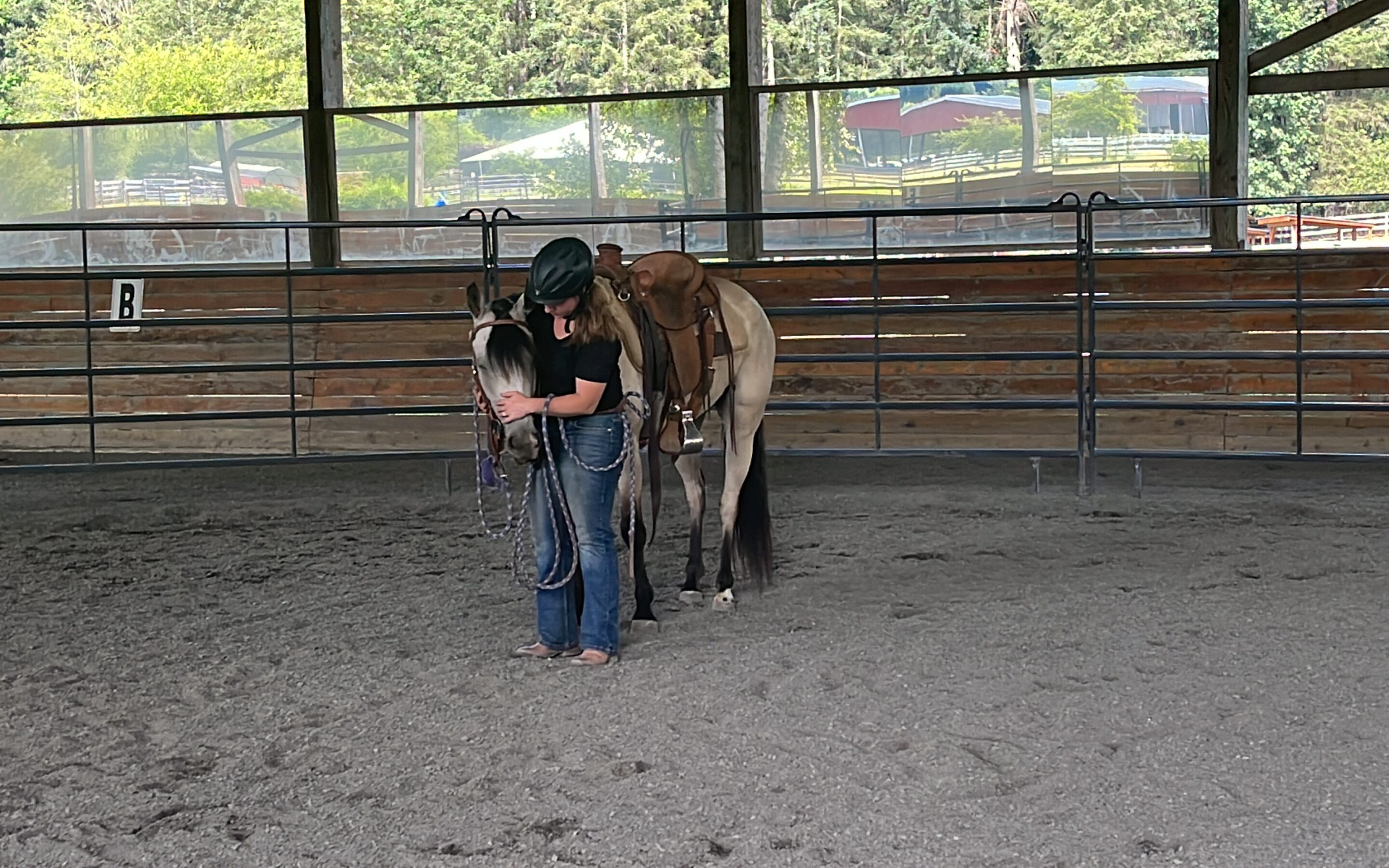 Training Update: Frosting in the Snaffle