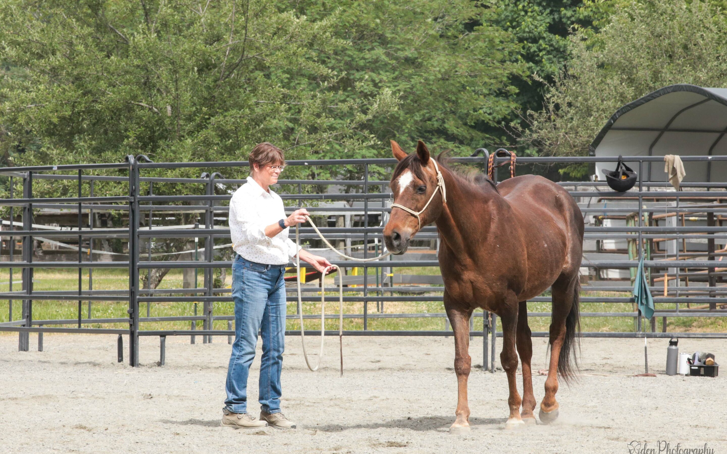 June Joel Conner Clinic Report: Brandy