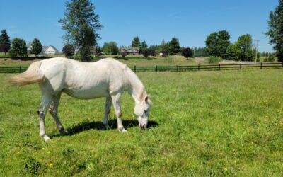Alumni Update: Bliss