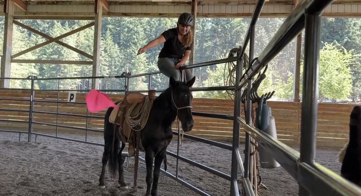 Flagging Poppy on the Rail