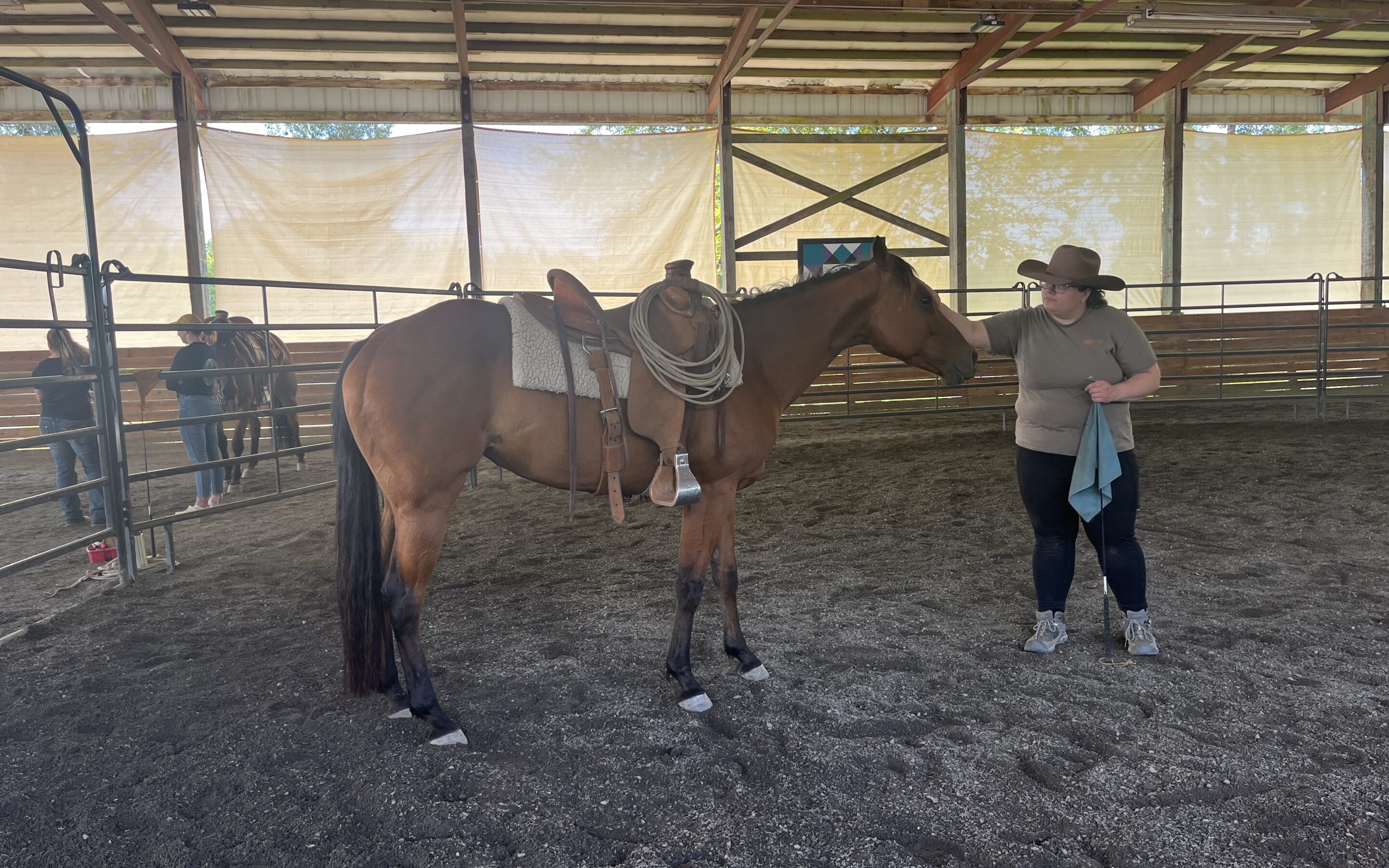 Wren’s First Saddle