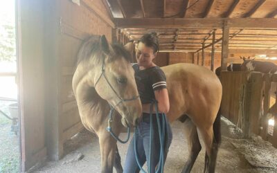 Alumni Update: Otto
