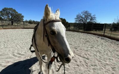 Alumni Update: Jewel