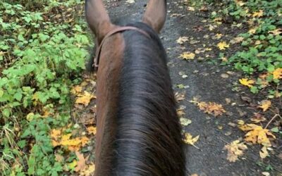 Alumni Update: Lucca