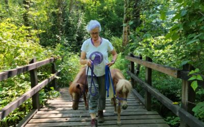A Walk in the Park with Sunny and Shasta