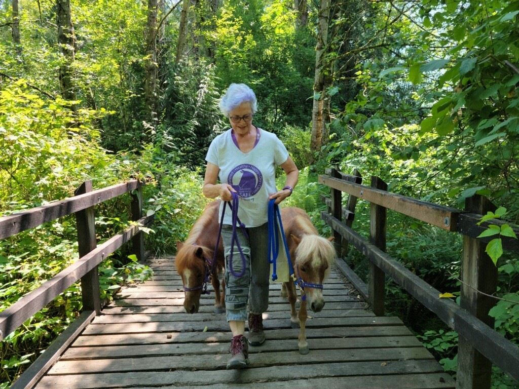 A Walk in the Park with Sunny and Shasta