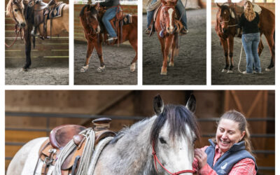 November Clinic Report: Frosting, Wren, Veronica, Artie, Esme