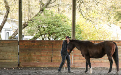 November Clinic Report: Bijou