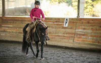 November Clinic Report: Moshi