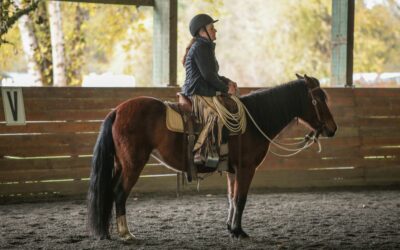 November Clinic Report: Pepper
