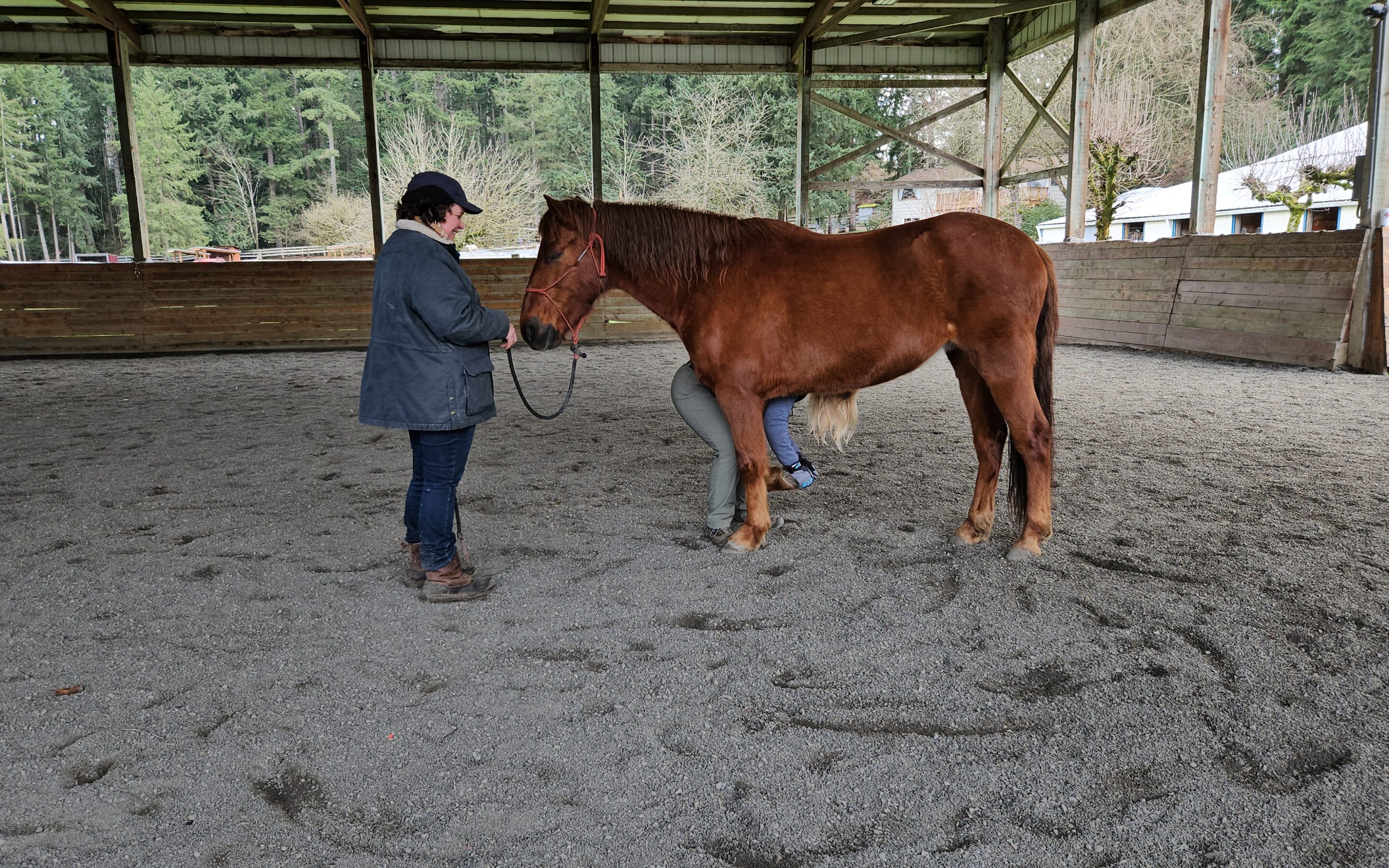 Edward’s Flexion Tests