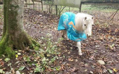 Alumni Update: Quincy