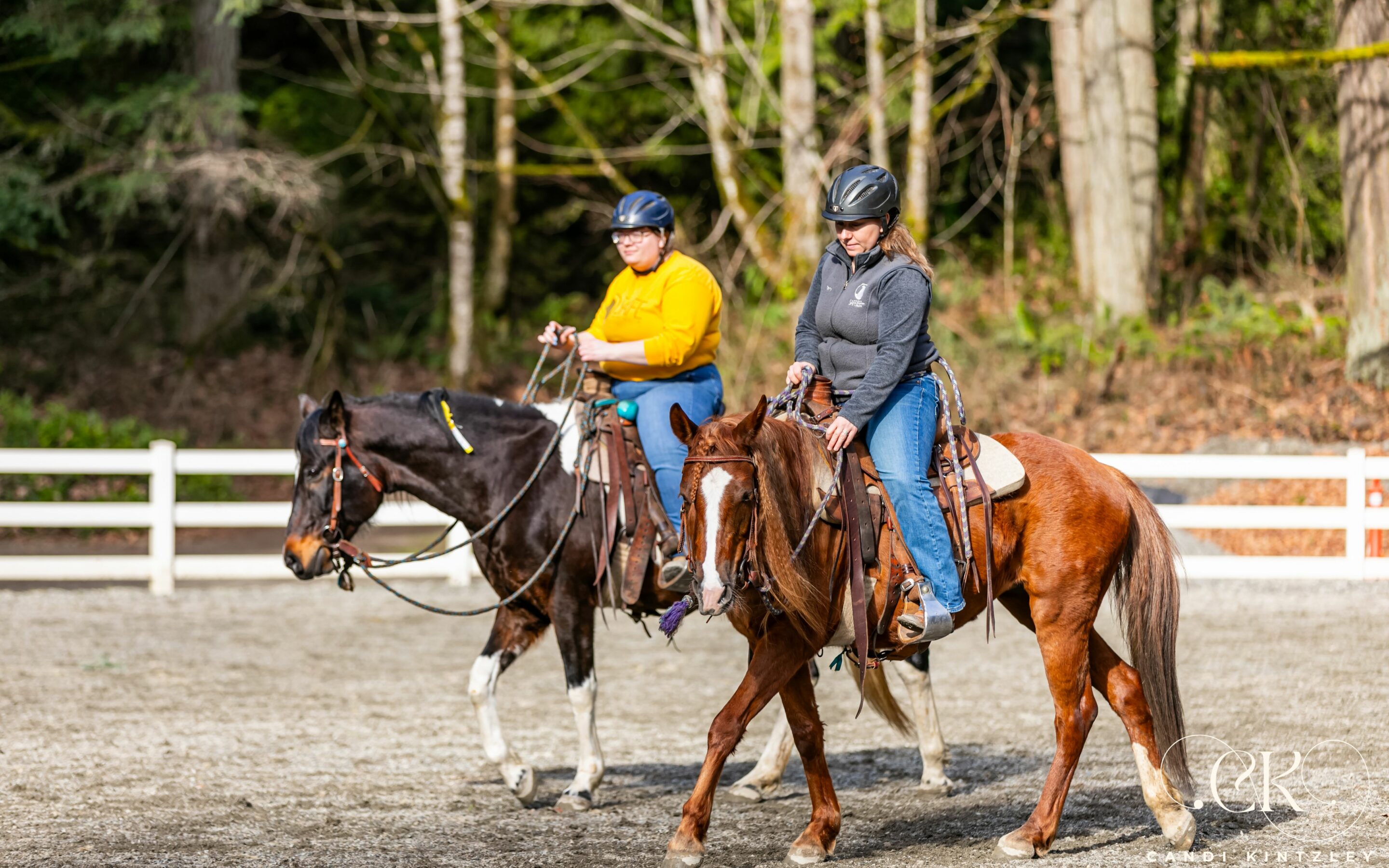 Field Trip to Bridle Trails