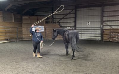 Groundwork with Blanche