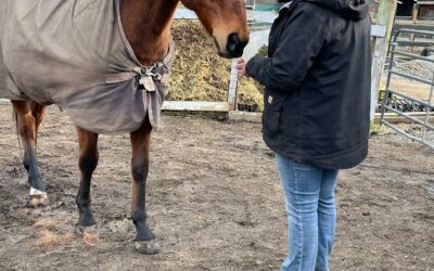 Alumni Update: Mason