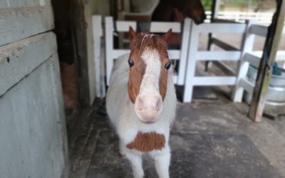 Alumni Update: Billy
