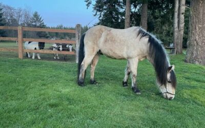Alumni Update: George