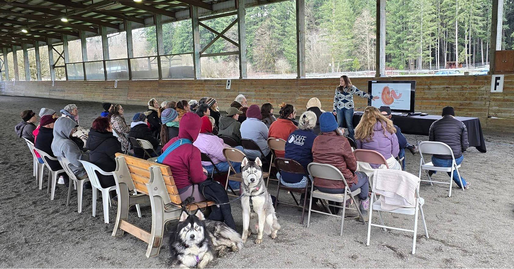 Volunteer Education: Horse Health