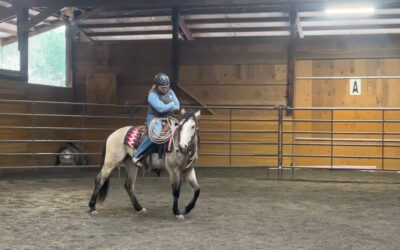 Look Ma, No Reins!