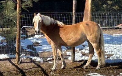 Alumni Update: Lucy
