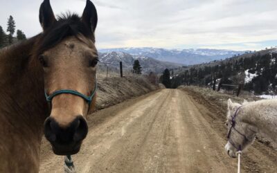 Alumni Update: Piper