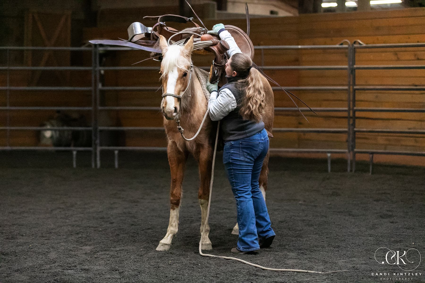 Theo’s First Saddling