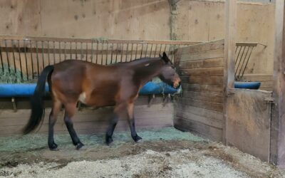 Alumni Update: Zoe