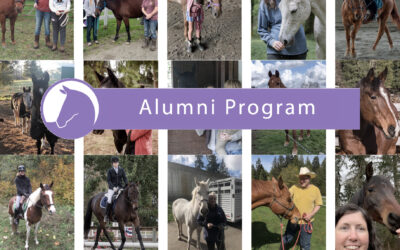Alumni Program — Q1 Update