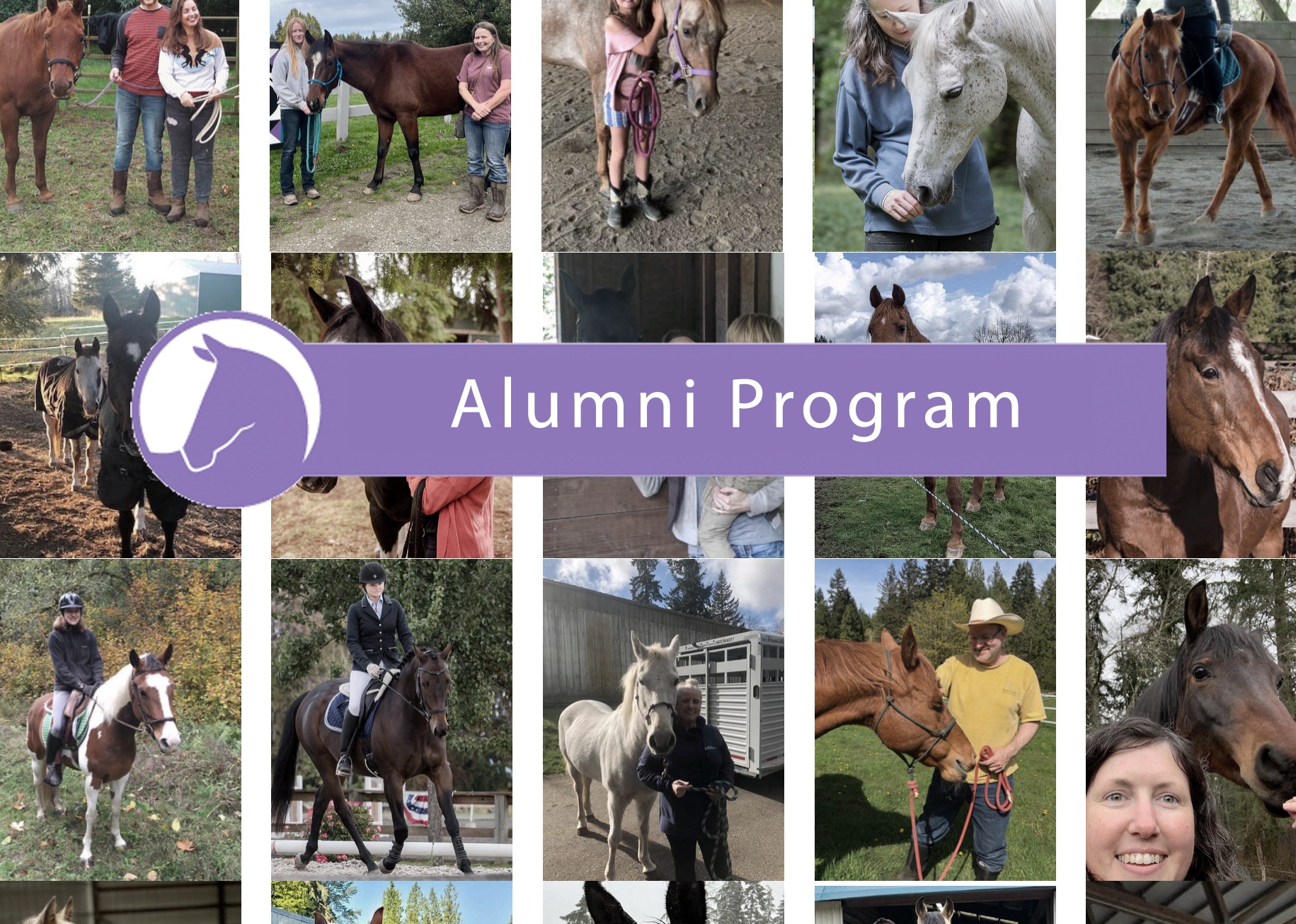 Alumni Program — Q1 Update