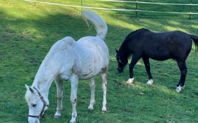Alumni Update: Heidi