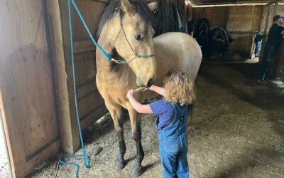 Alumni Update: Otto