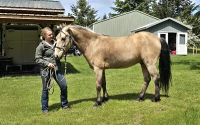 Alumni Update: George