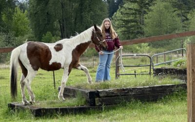 Alumni Update: Harley