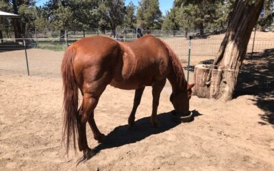 Alumni Update: Kat