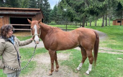 Alumni Update: Ajax (AJ)