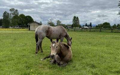 Alumni Update: Bliss and Evie