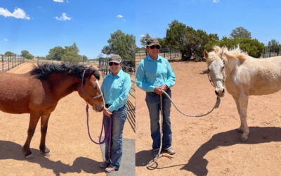 Alumni Update: Jewel and Tilt (Korra)