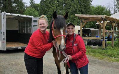 Pepper is Adopted!
