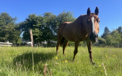 Trixie Settling In