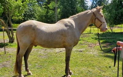 Alumni Update: Jasper