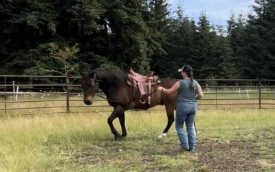 Alumni Update: Roscoe
