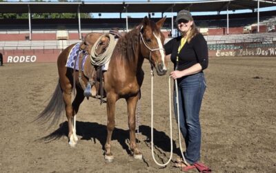 Buck Brannaman Clinic Report: Tiva