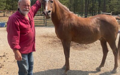 Alumni Update: Mesquite