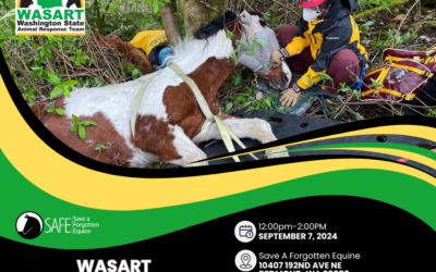 Upcoming WASART Presentation