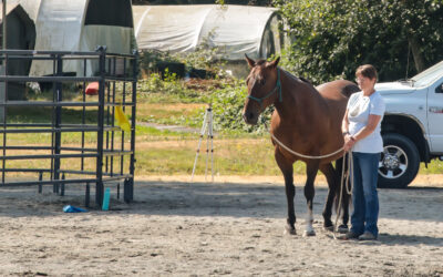 August Joel Conner Clinic Report: Bijou