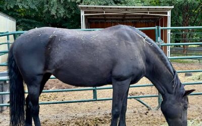 Alumni Update: Echo