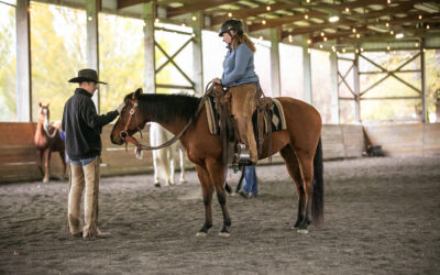 A Decade of Transformation: Joel Conner’s Impact on SAFE Horse Rescue
