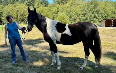 Alumni Update: Opal (Bella)